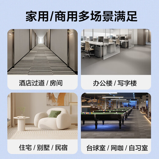 KADAILE Carpet Cleaning Floor Fabric Sofa Carpet Cleaning Machine Home Commercial Hotel Three-in-One Washing, Suction, Drying and Cleaning Machine New Product Launch CW-210-CN (standard configuration + 6 bottles of 1 liter cleaning fluid)