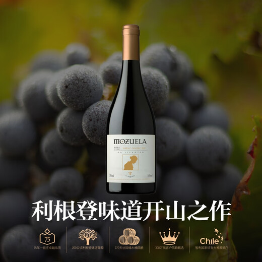 阿斯朗一级名庄智利DO法定产区进口红酒莫塞西拉马尔贝克红葡萄酒750ML