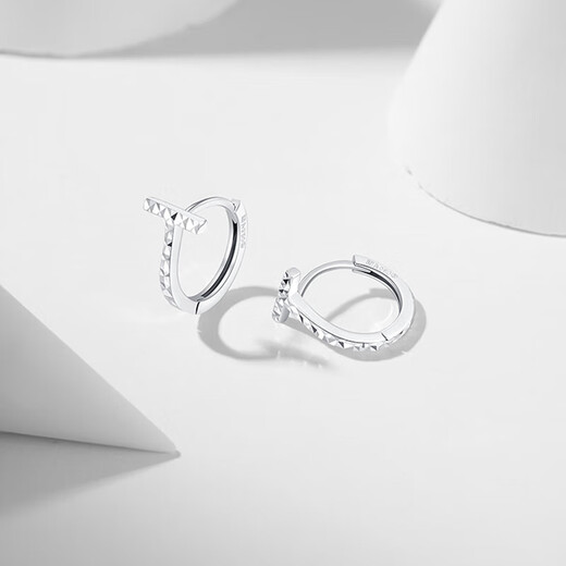 Trendy Acer to Jane PT950 platinum earrings for women, letter T as a birthday gift for girlfriend, one pair, about 1.95g