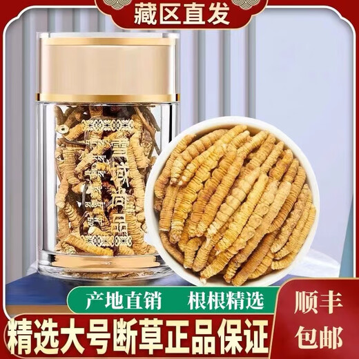 
(SF Express) Authentic Tibetan area Naqu break Cordyceps Cordyceps Cordyceps Big broken grass eats Cordyceps broken grass Authentic Tibetan Naqu whole meat festival 10 grams pack