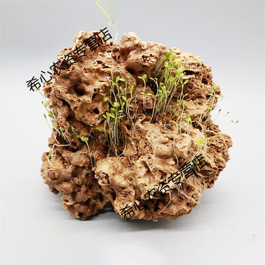 OIMG absorbent stone landscape absorbent stone rockery bonsai natural landscaping raw stone rockery stone courtyard rockery natural raw stone 10-14CM absorbent stone (pot not included)