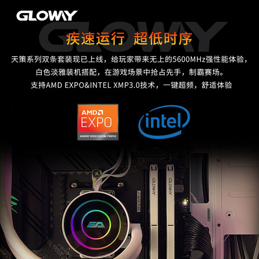 Gloway 32GB (16GBx2) DDR5 5600 desktop memory Tiance vest selected particles CL46 Haoyue White