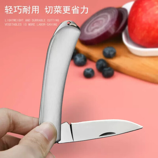 Andena Folding Fruit Knife Household Stainless Steel Fruit Knife Dormitory Student Portable Knife Style All-Steel Folding Fruit Knife 1