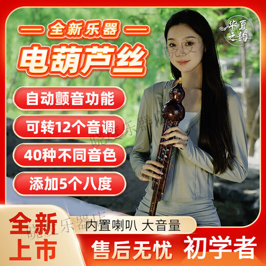 Shili Qingbo Chinas Reim elektrisches Hebezeug Seiden Musikinstrument Haus der elektronischen Hebezeuge Seidenblasen Elektronische Flöte Elektrische SA -SA -Benutzerdefinierte für Anfänger Gold Bambus Farbstandard