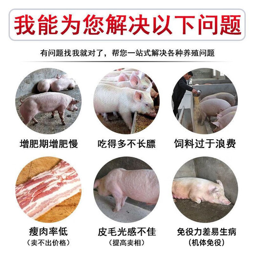 Male herding pig day length fattening pig fattening and weight gain growth-promoting concentrated feed for piglets to be slaughtered early and fattening premix for big pigs 3 bags ready for delivery