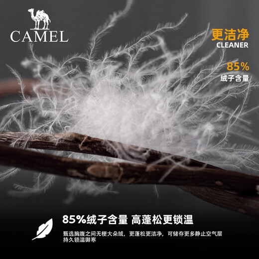 骆驼（CAMEL）黑钻系列短款羽绒服女装冬新款保暖防风连帽羽绒外套面包服 724CA6B601，幻影黑，女 S S