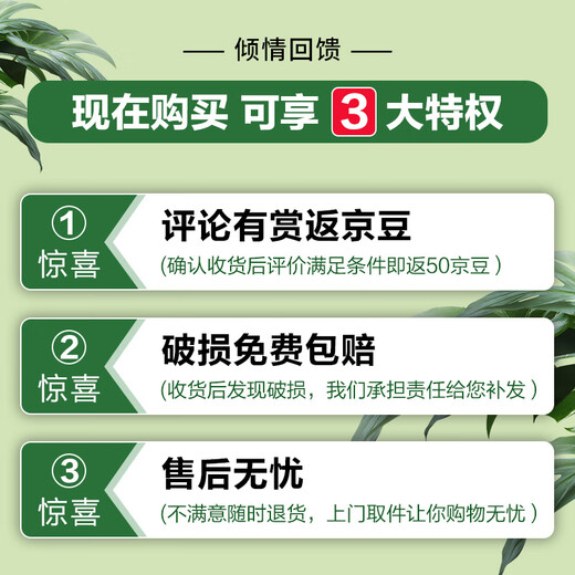 爱丽思花盆塑料花盆特大号树脂种菜蔬菜水果种植盆加厚带排水孔 680