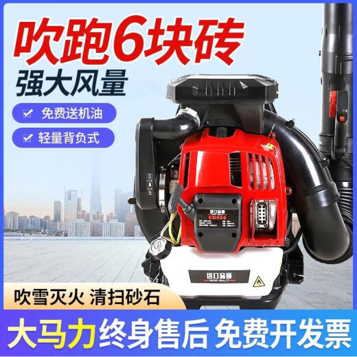 Kezhitu Custom SMV allemand allemand à quatre temps Piggyback Sèche-cheveux Séchonge-neige Snaiteur haute puissance du vent puissant