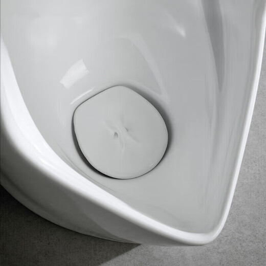 Renjuyi urinal 81987 induction integrated floor-standing USWN810BE AC