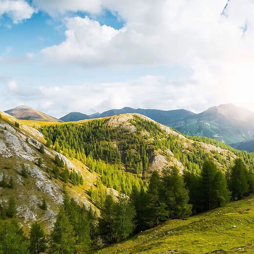 Garkoko Little Moon Teething Stick for Baby Teething Stick for Baby to Prevent Eating during Teething Microsoft Crescent Moon + Round Yang