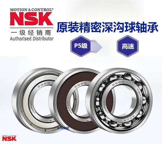 Roulement de classe NSKP5 6200 6201 6202 6203 6204 6205 6206 6207 6208 6205-2Z / P5 Joint métallique