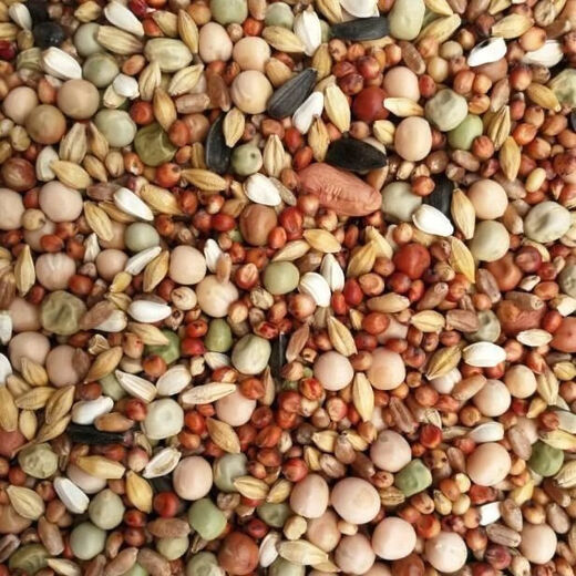 New pigeon food nutrition contains corn 10kg bird food homing pigeon white adult young pigeon ornamental pigeon corn-free pigeon food 5Jin Jin is equal to 0.5 kg