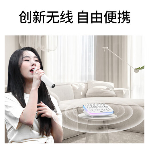 Sony Ericsson (soaiy) portable mobile sound card karaoke speaker audio all-in-one set live broadcast equipment mobile phone computer external recording TikTok outdoor singing microphone microphone gift SG20