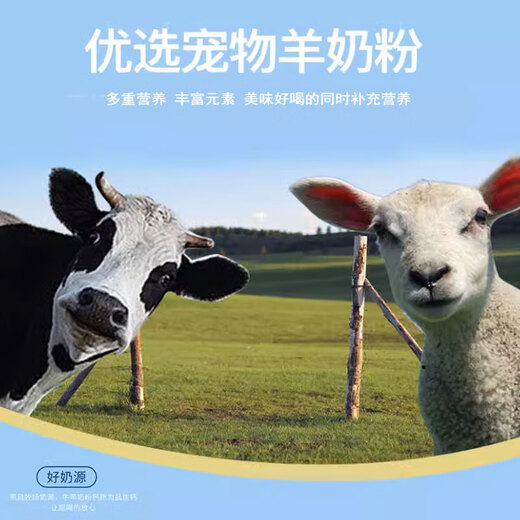 Wami Border Collie Special Goat Milk Powder Newborn Puppies Adult Dogs Puppy Nutrition Good Pai Supplement Pet Milk Good Pai Goat Milk Powder 2 Cans 300g