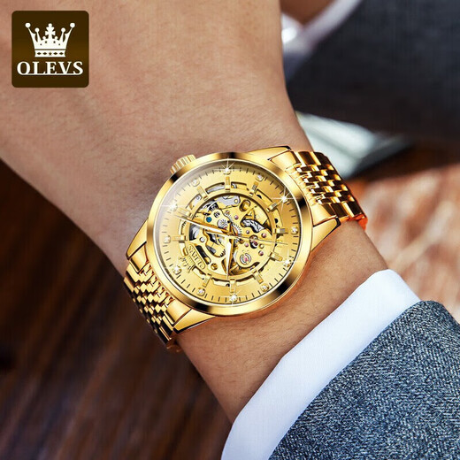 Oleeis Olevs Swiss Certified Brand Watch Men's Mechanical Uhr