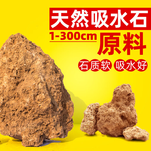 SHXI natural water-absorbing stone raw stone water stone wool gravel stone rockery bonsai micro landscape landscaping small ornaments with stone absorbent stone raw stone 20-25cm10Jin Jin is equal to 0.5 kg