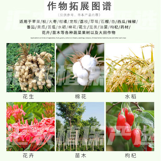 24 epibrassinolide foliar fertilizer relieves phytotoxicity and freezing damage, promotes root growth, preserves flowers and fruits, pesticide growth regulator 500g