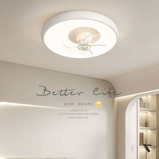 Weather Vane Moderne einfache schüttelte Kopfschlafzimmer Lüfter Home Esszimmer neu