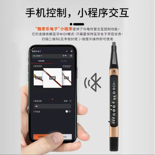 
YASILE IELTS A500 Hair Tube 2024 New Domestic Musical Instruments Collection Beginners' Saxophone Flute Gold Rich Gold + Luxury Gift Bag