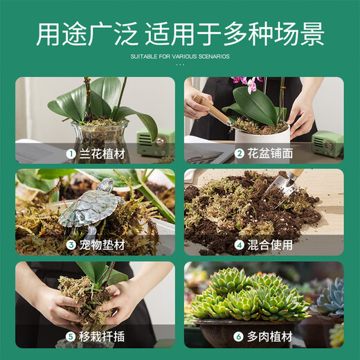 Stanley's special dry sphagnum moss Phalaenopsis special nutritional earth orchid oncidium dry moss climbing pet turtle mat