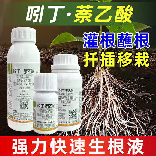 Indobutane acetic acid rooting solution succulent fruit trees and flowers plant growth regulator cuttings transplanting rooting agent powder 60g