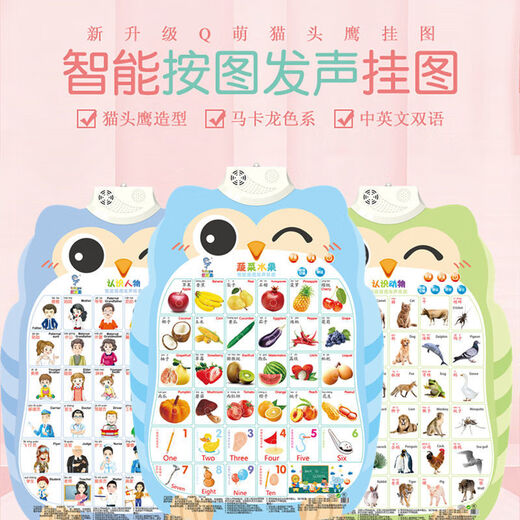 HKFZ Pinyin Banner диаграмма детского звука