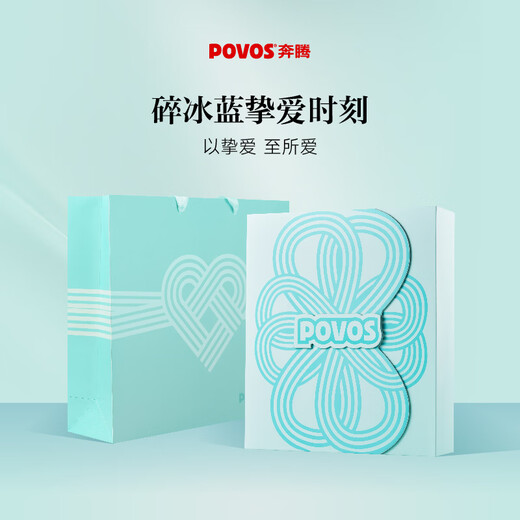 奔腾（POVOS）高速吹风机家用电负离子吹风筒新一代大功率速干低噪音PH9903送女友礼物国家补贴