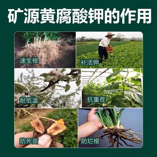 Mineral source potassium fulvic acid export grade Wujin mineral source potassium fulvic acid vegetable fruit crops take root and strengthen seedlings 5Jin Jin is equal to 0.5kg sub-package