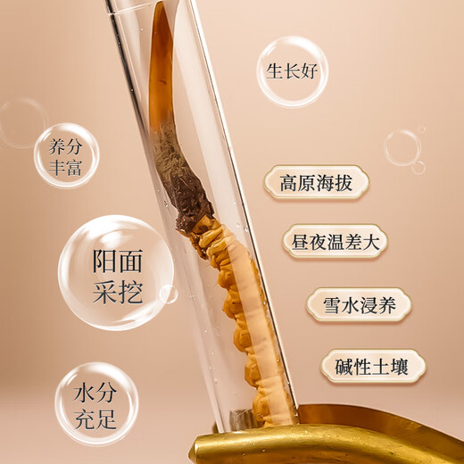 Lei Yunshang Cordyceps sinensis, первая фаза свежего кордицепса, экологическое разведение, холодная свежая доставка, свежий кордицепс не поддерживает возврат, 100 штук (0,4-0,6 г/шт.)