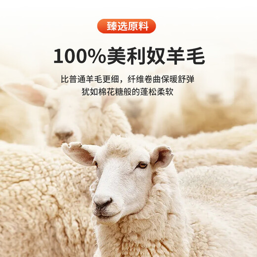 安东尼奥【100%绵羊毛&暗条纹提花】拉链开衫毛衣针织外套男式外穿羊毛衫 黑色 48(170/88A)