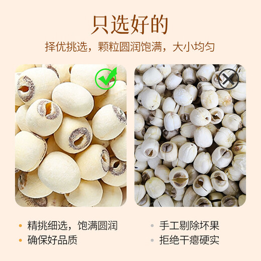 燕之坊 莲子200g 通心磨皮白莲干货去芯湘潭莲子银耳羹红枣百合桂圆 