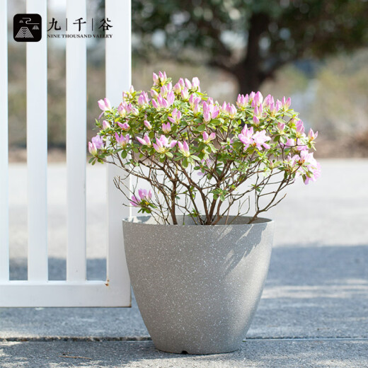 
Jiuqian Valley Nordic simple imitation cement flower pot resin plastic thickened water absorbing lazy people light luxury large flower pot diameter 35cm9225
