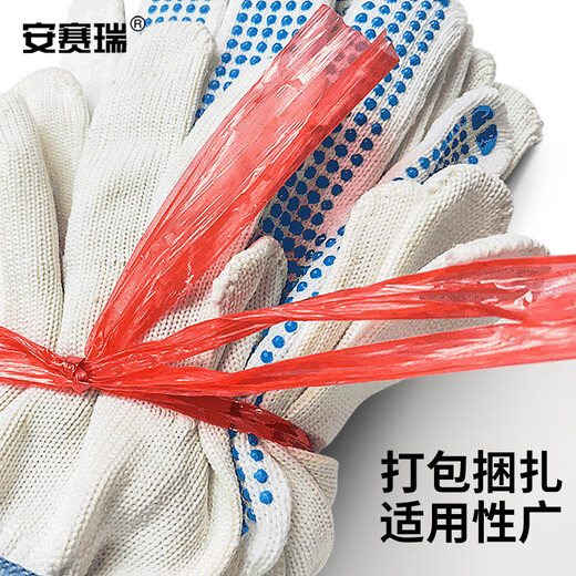 安赛瑞 塑料捆扎绳 仓库搬家打包绳 1卷 150g 红色 EA200456