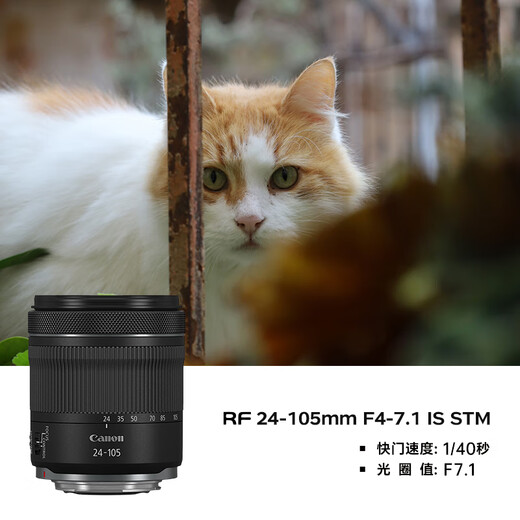 Canon r5 professional mirrorless camera Bird shooting equipment digital camera eos r5 full frame Vlog camera 8K video shooting Place an order for Labubu & Jindou R5 disassembled body + RF 24-105 STM disassembled lens VLOG video Professional handheld fill light + professional microphone master tripod