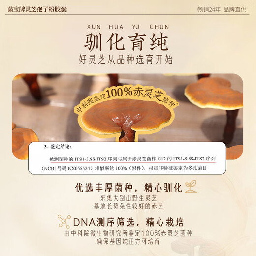 
Jiaerkejiabao Brand Ganoderma lucidum spore powder capsules for middle-aged and elderly people to enhance immunity and give gifts to elders 60 capsules/bottle 30 days of dosage (basic conditioning, daily nourishment)