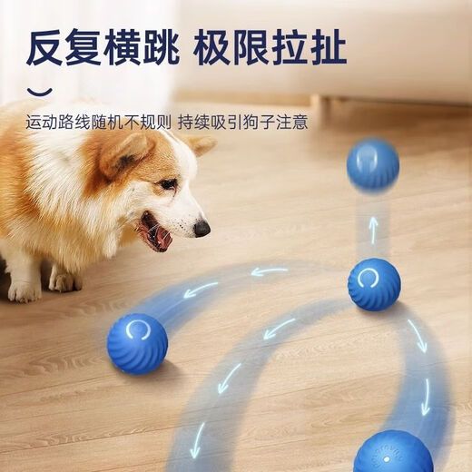 Zigman Dog Toy Bite-Resistant Ball Automatic Dog-Amusing Artifact Self-Happiness Relief Pet Electric Puppy Intelligent Elastic Dog Walking Ball