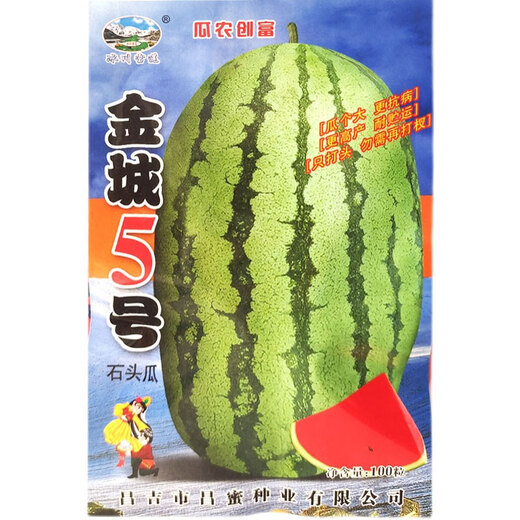 Jincheng No. 5 Sweet King Watermelon Seed Seed High Yield Black Jingxin Fruit Giant Extra Large Four Seasons Lazy Super Jincheng No. 5 100 capsules bag, really sweet, really big, really