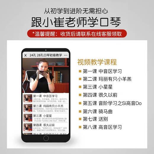 口琴24孔c调复音演奏级成人儿童男女初学者学生入门 宝石蓝+全套