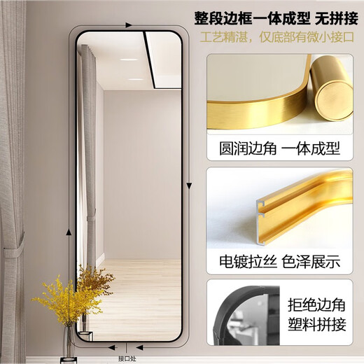Anya miroir de dressing mural diffusion en direct miroir mural pleine longueur sans sol chambre salon miroir de montage 50*160 champagne or