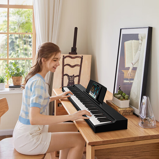 Terence Electric Piano 88 Key Electronic Piano para niños adultos Examen de grado de entrada para principiantes Casa P10 PIHO PORTABLE ELEGANT NEGRO [Teclado contrapeso]