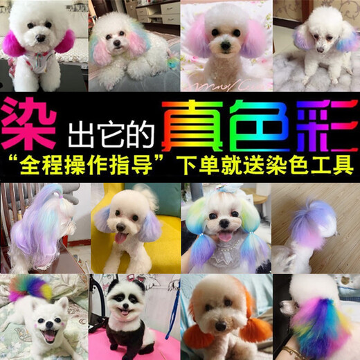OIMG dog hair dye hair pet special white Bichon Teddy animal cat dye hair cream Pomeranian supplies orange 120g with tools