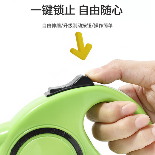 Zigman dog leash 5 meters automatic traction rope + collar small and medium-sized dog walking rope 2-piece set Teddy Golden Retriever dog chain