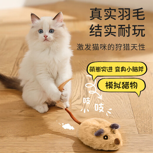 HuanChong.com Cat Toy Cat Automatic Cat Funny Ball Electric Mouse Self-Happiness and Boredom Relief Artifact Grinding Cat Kitten Kitten Pet
