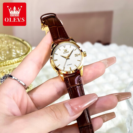 欧利时（OLEVS）瑞士认证品牌手表女士全自动机械表夜光防水女表简约气质轻奢腕表 OLEVS-6629女-棕皮白面