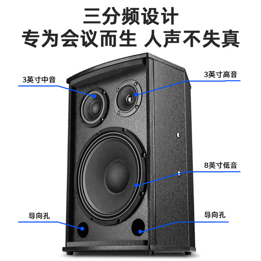 先科会议室音响设备全套装组合家庭影院KTV音乐学校培训专用系统蓝牙功放麦克风一体机壁挂舞台音箱K5V 【两8吋音响套装】无话筒（50-120平）
