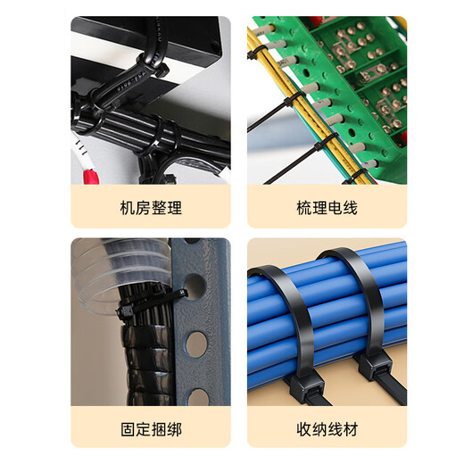 毕亚兹 自锁式尼龙扎带小号2.5*100mm 电脑主机装机 园艺 理线束线捆绑 黑色扎带固定器收紧器 100根/包