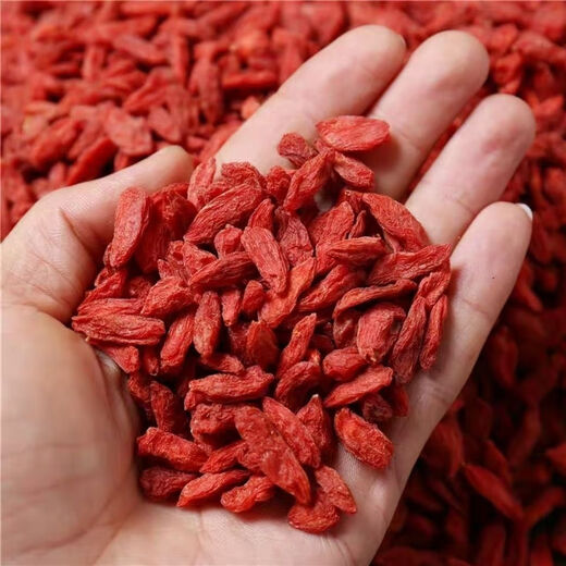Lycium barbarum ningxias erstes spezielles Produkt Zhongning Wolfberry Farm Authentic Red Wolfberry Free Wash 500g ausgewählte gute Produkte 250 g kostenlos 250g