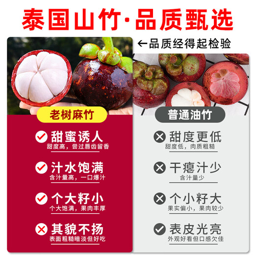 Shawo Shuguang Thai Mangosteen JD/SF next-day delivery to many places Freshly imported oleifera tropical fruits Fresh New Year Festival Special Fruit | Selected 4.0Jin Jin equals 0.5kg Gift box 5A large fruit