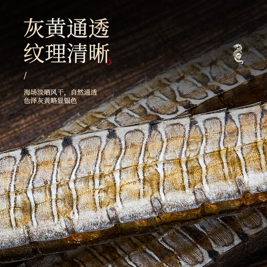 半山农六角海龙泡酒中药材料超长大新晒整支煲汤食材 可搭海马锁阳黄精