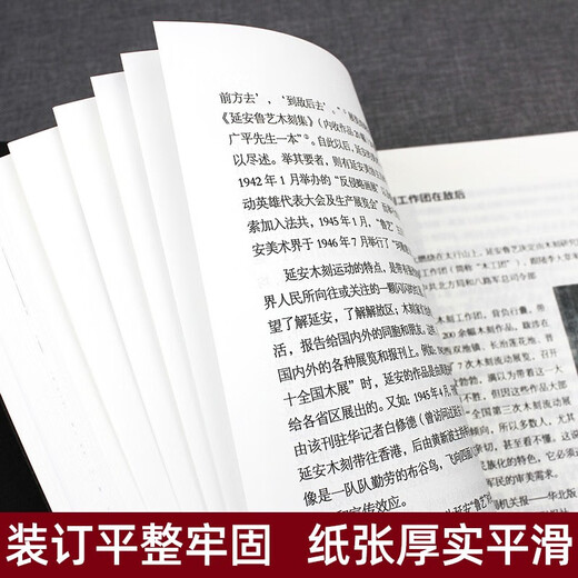 History of Modern Chinese Printmaking (1930 2000) Li Yunjing Epitome of the Seventy-Year Development of China's Emerging Printmaking Hunan Fine Arts Publishing House